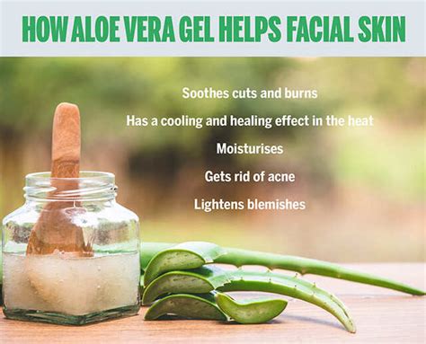 Aloe Vera for Face: 10 Benefits, Side Effects, and More.